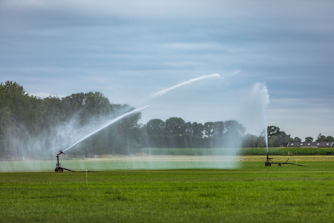 Tijdelijk verbod gebruik grondwater voor het beregenen van grasland
